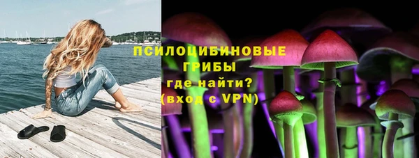 ECSTASY Алексин