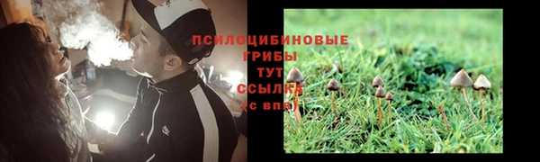 ECSTASY Алексин